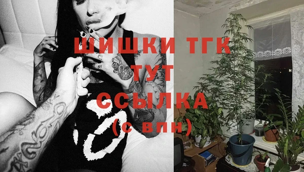 гашик Волосово