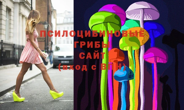 гашик Волосово