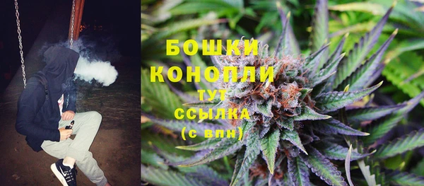 гашик Волосово