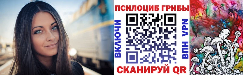 Купить  Нелидово  Псилоцибиновые грибы Psilocybine cubensis 